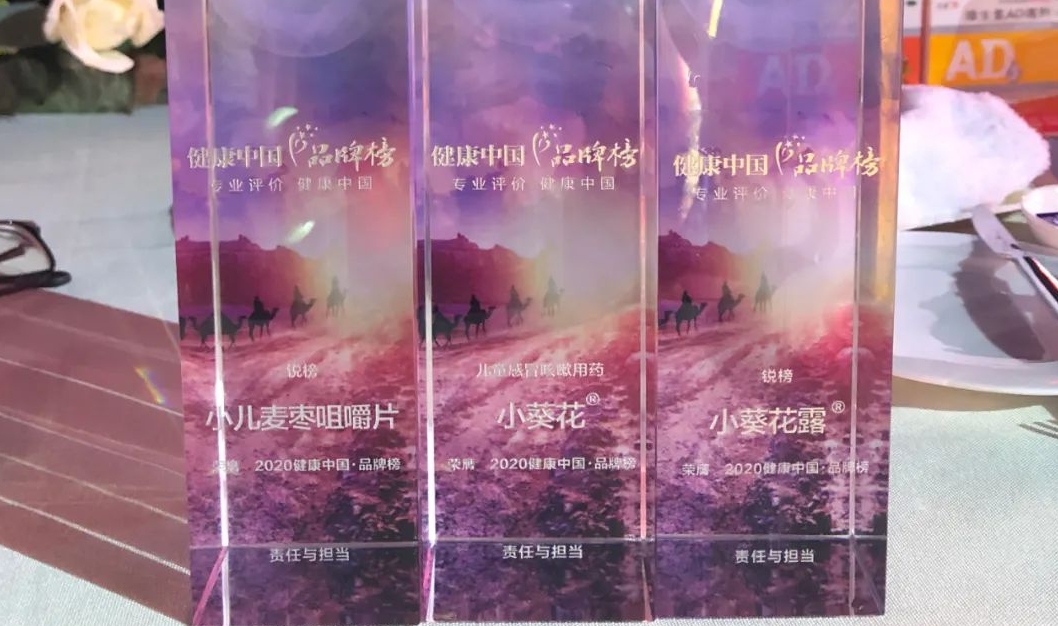 小葵花綻放西普會，榮獲三項大獎